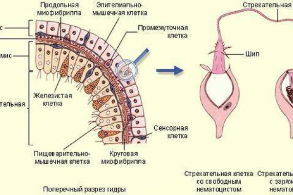 Кракен сайт даркнет ссылка